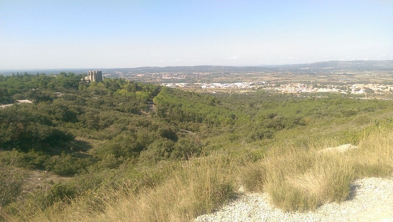 Sur le sentier de la pierre, l'abbaye se dresse majestueuse avant de s'effacer au détour du chemin
