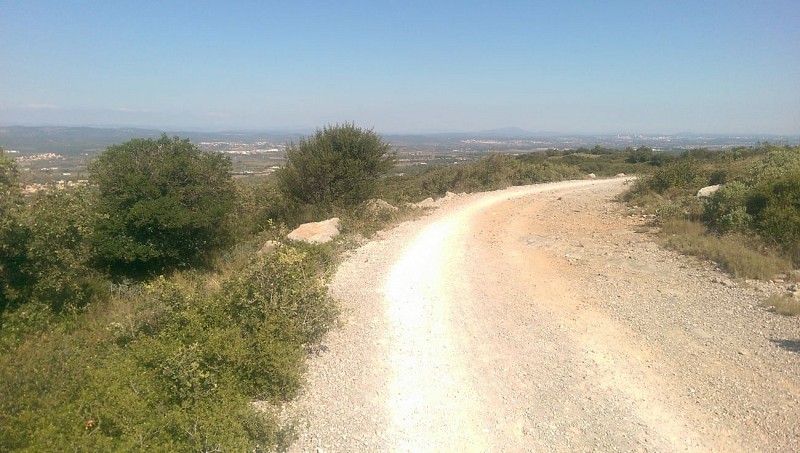 Sur le sentier de la pierre, l'abbaye se dresse majestueuse avant de s'effacer au détour du chemin