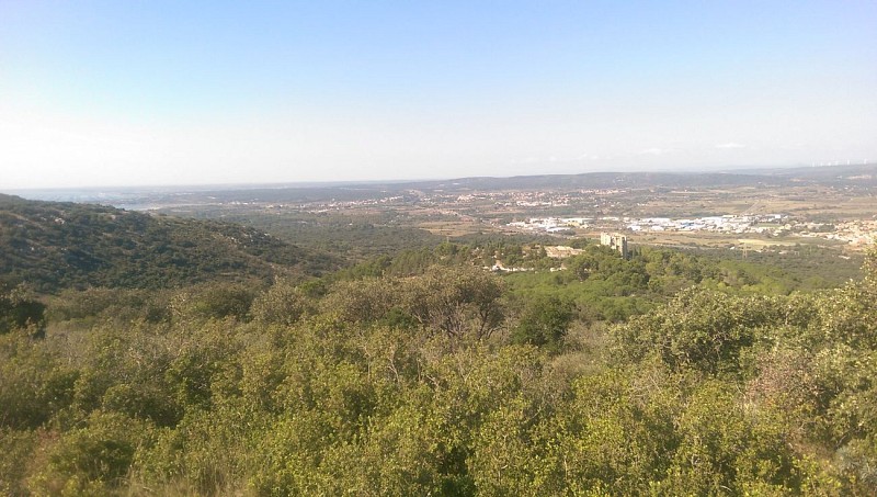 Sur le sentier de la pierre, l'abbaye se dresse majestueuse avant de s'effacer au détour du chemin