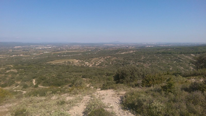 Sur le sentier de la pierre, l'abbaye se dresse majestueuse avant de s'effacer au détour du chemin