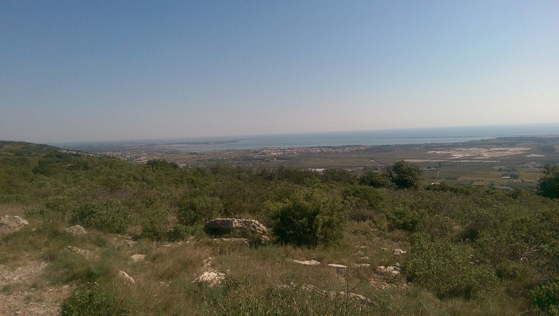 A la jonction des étangs de l'Arnel et de l'Ingril
