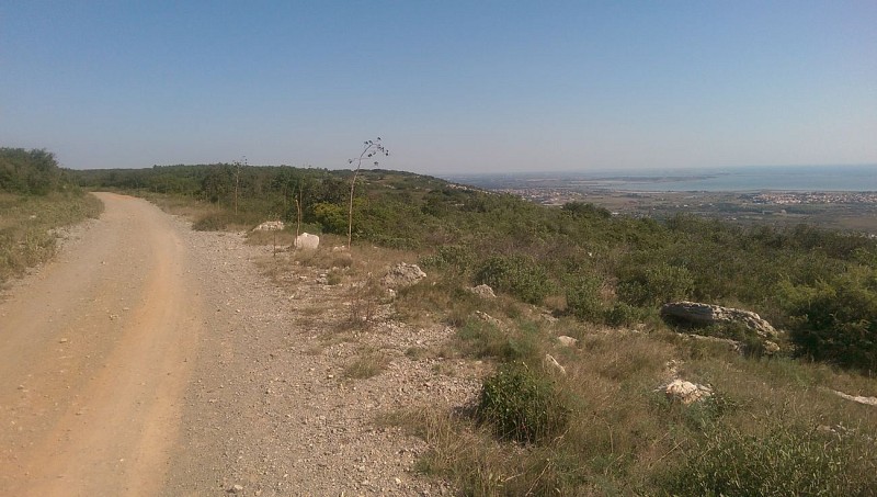 A la jonction des étangs de l'Arnel et de l'Ingril