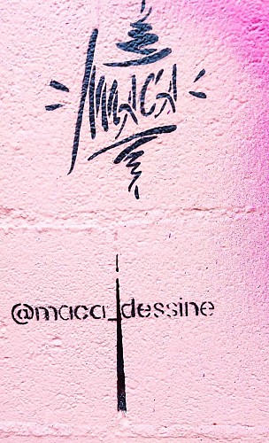 Maca en hommage à Gisèle Pelicot