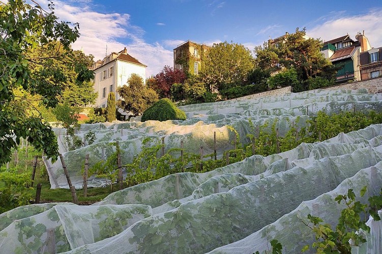 Clos Montmartre