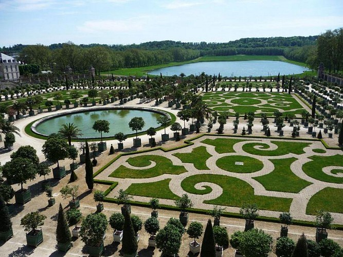 Orangerie de Versailles (l'Orangerie de Versailles)