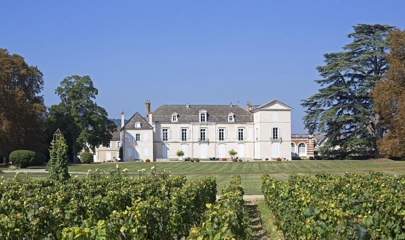 Château de Meursault