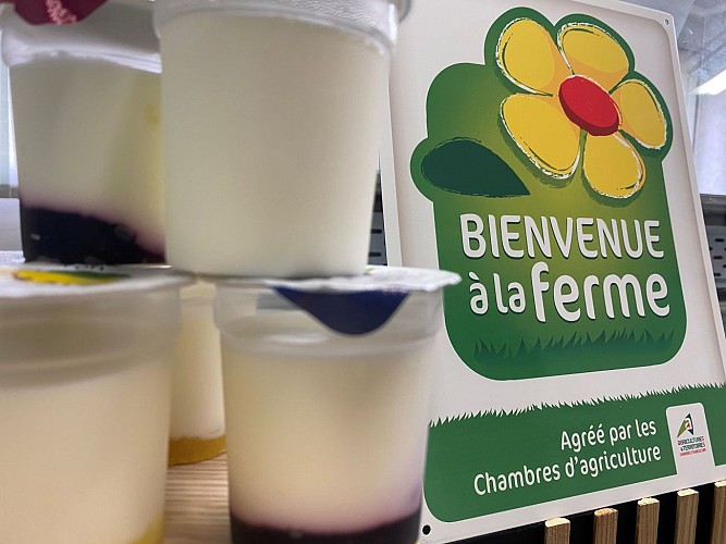 Terre de lait degustation St Pierre a champ Val en Vignes Thouarsais