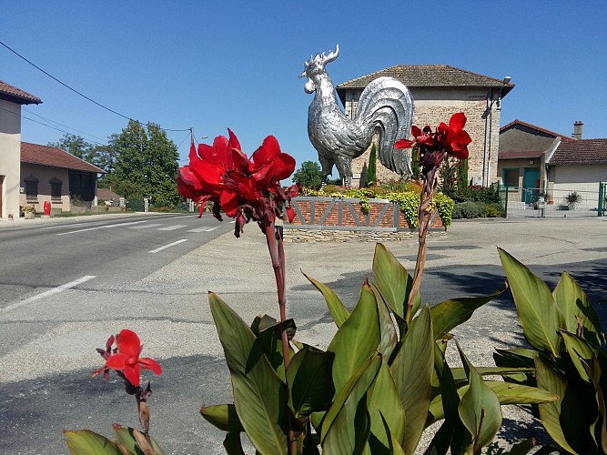 Camping du Coq de mantenay-Montlin