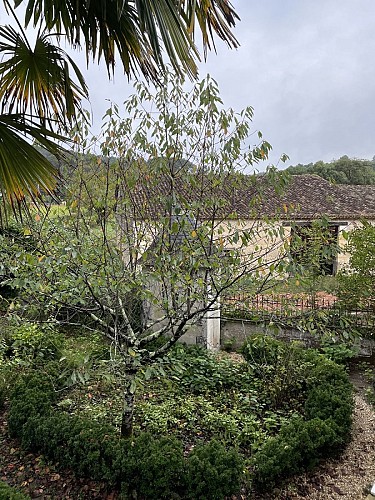 IMG_7148 4 2