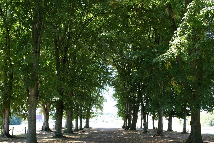 Promenade des Halles à Decize