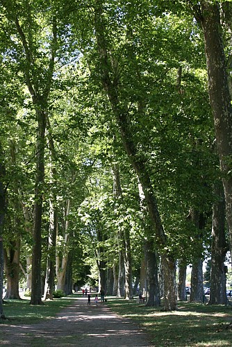 Promenade des Halles à Decize