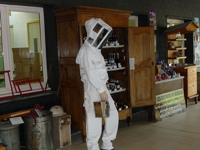 8-bis(wecompress.com)