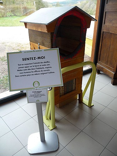 5-bis (wecompress.com)