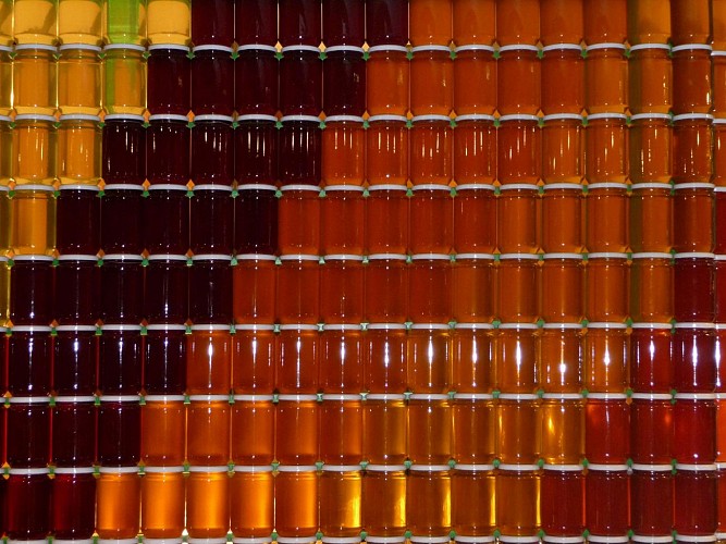 11-bis(wecompress.com)