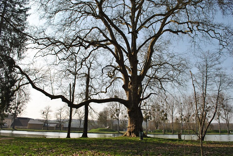 Promenade Jean Pierre-Harris - crédit Marion Capelas (82)