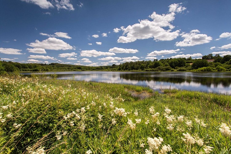 Etang Taureau