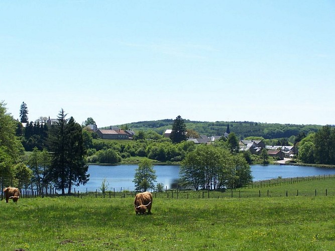 Etang Taureau vu de la pâture