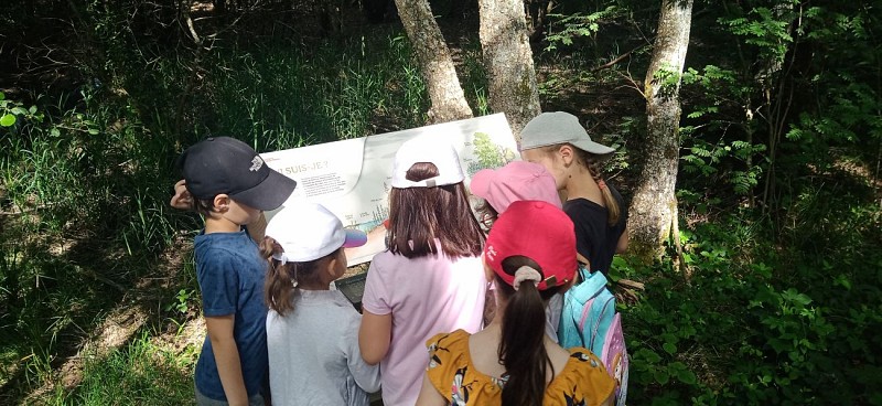 Etang Taureau panneau pédagogique