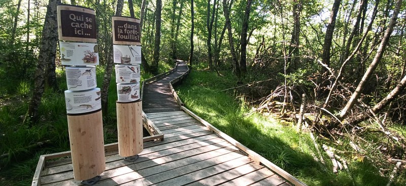 Etant Taureau panneau pédagogique et ludique