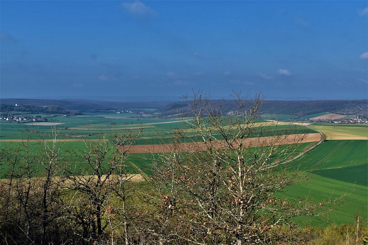 Vue sur Hubans Grenois (2)