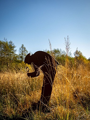 Les Sources de l'Yonne 04