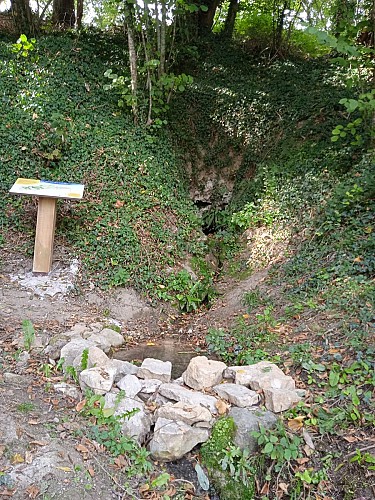 Source des Vreilles 1 OT RdM