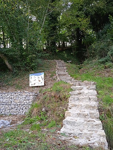 Sources des Vreilles 2 OT RdM