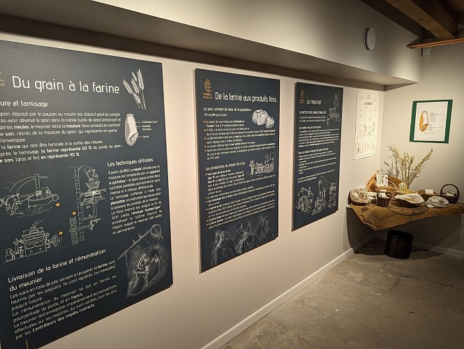 420182545_2764144107076647_8447520398782271967_n