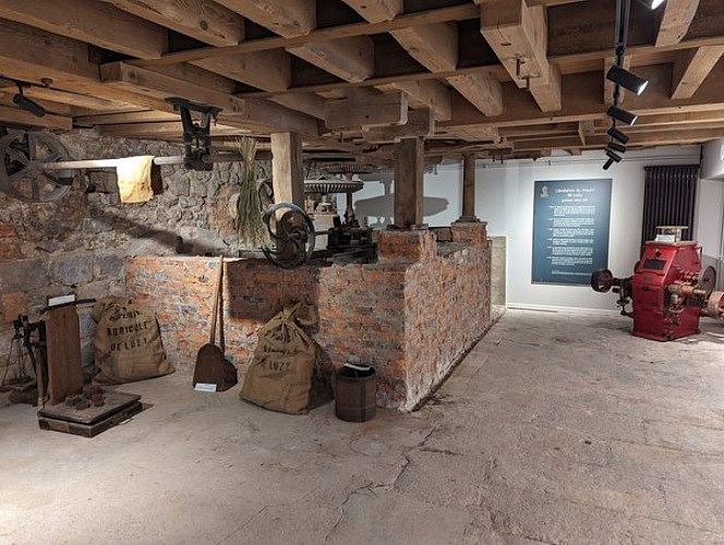 431561596_2764143650410026_996162208952085584_n