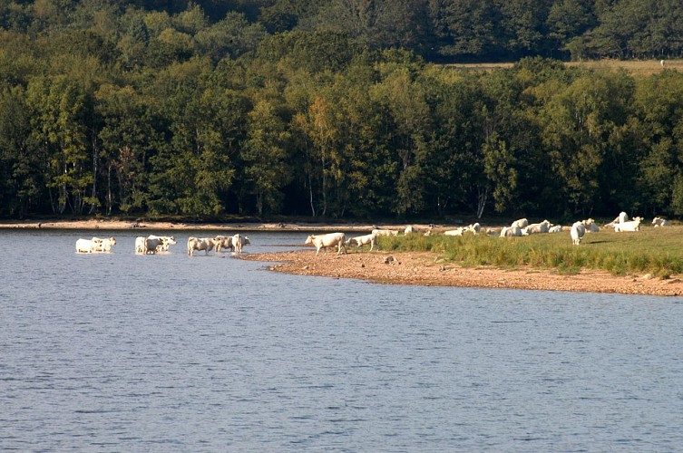 Lac de Saint-Agnan