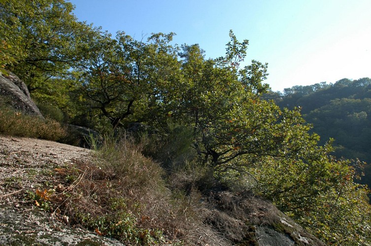 Gorges de Narvau