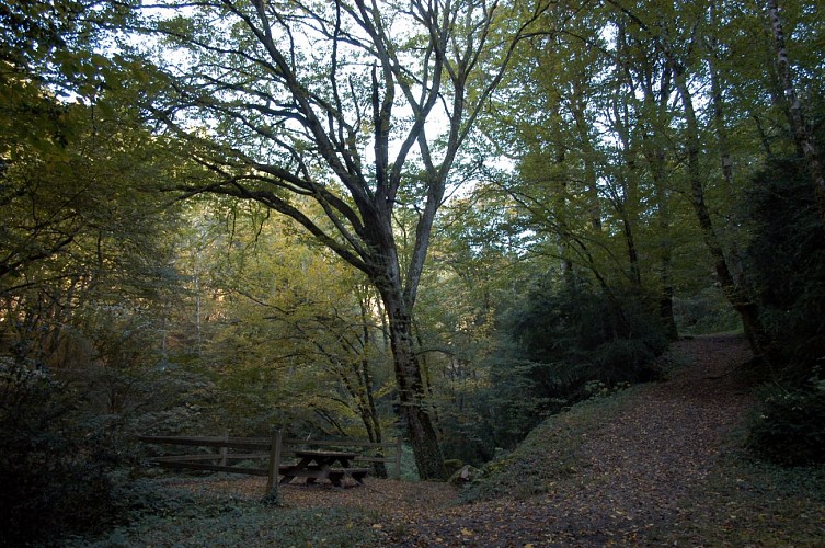 Gorges de Narvau