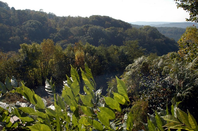 Gorges de Narvau