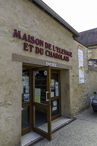 Visite Couplée de la Maison de l'Elevage et du Charolais et Marché au Cadran