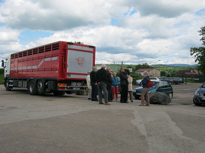 La visite commence au Marché au cadran