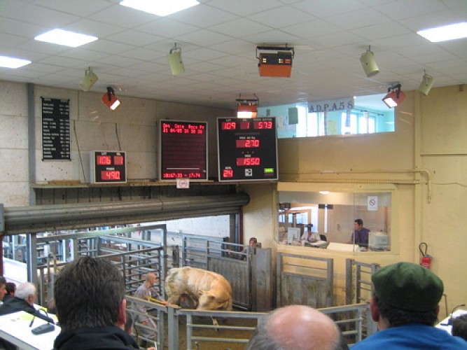 Vente au Marché au cadran M.E.