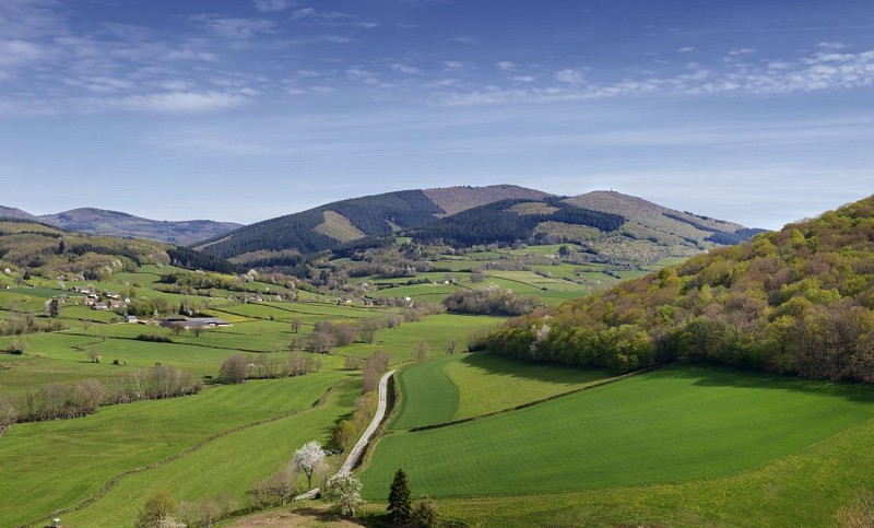 Le mont Beuvray, site de l'ancienne capitale gauloise Bibracte