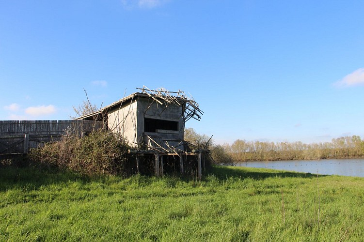 Maison du Marais de Grée