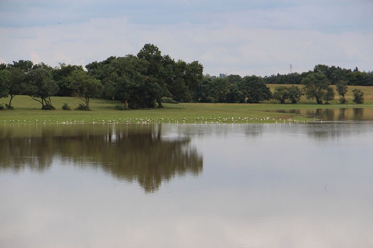 Maison du Marais de Grée
