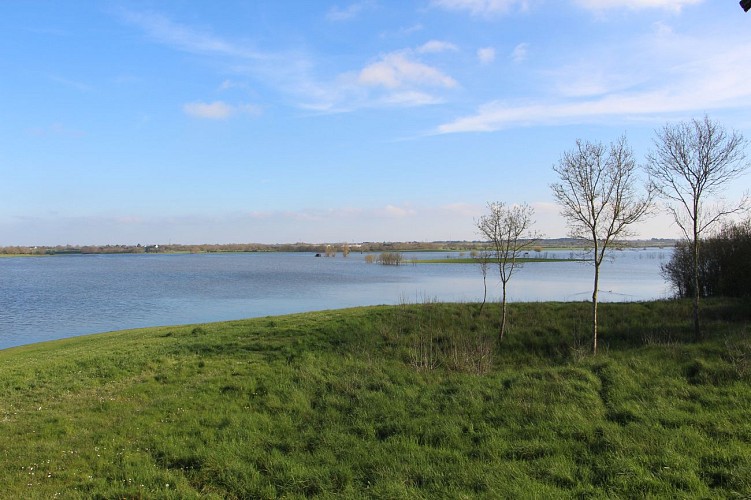 Maison du Marais de Grée