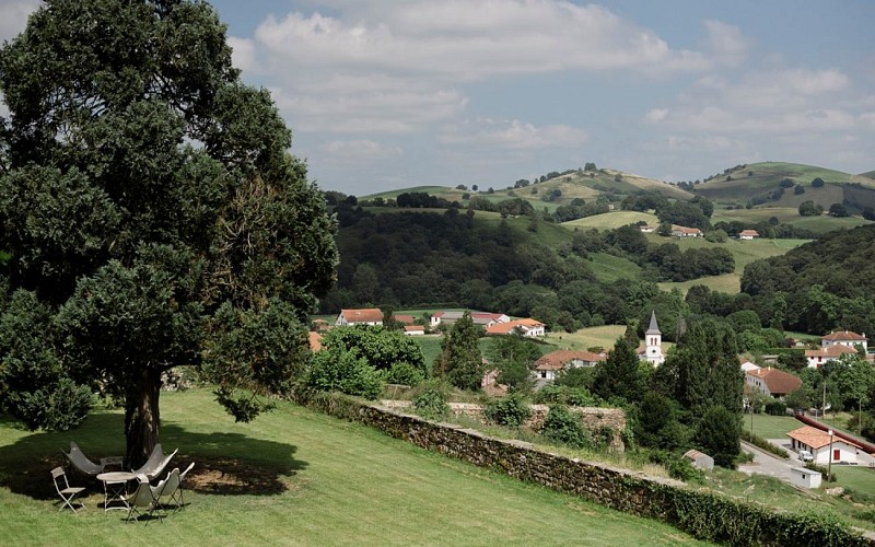 DSC5819_websize 1440x900