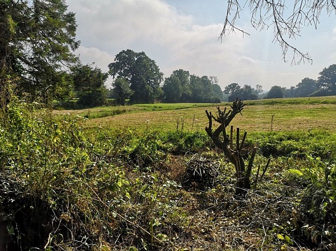 Gite - Cerisy-la-salle Legentil (14)