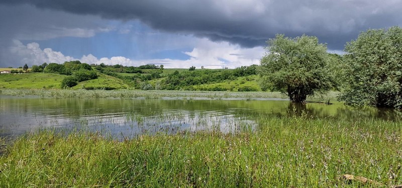 Le lac de Saint Jean et son observatoire ornithologique