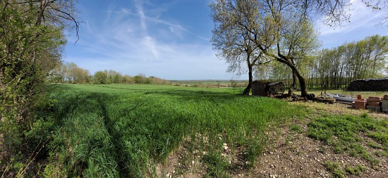 Sentier des Belles vues - Ranville-Breuillaud