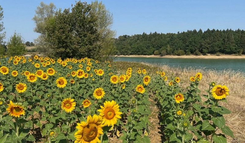 Lac de la retenue de Briax