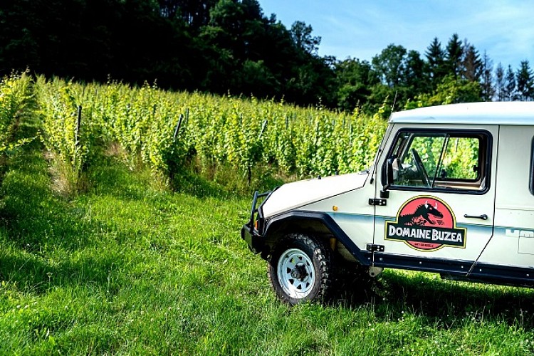 Domaine buzéa g-c
