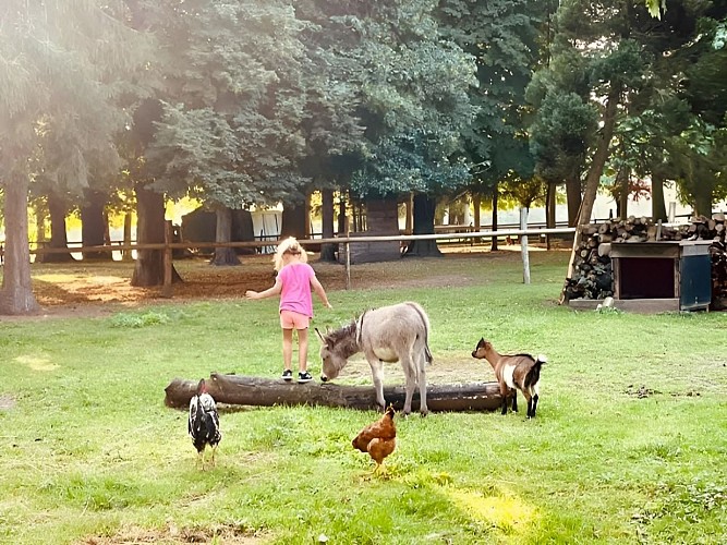 Photo 3 © Domaine de Ouézy
