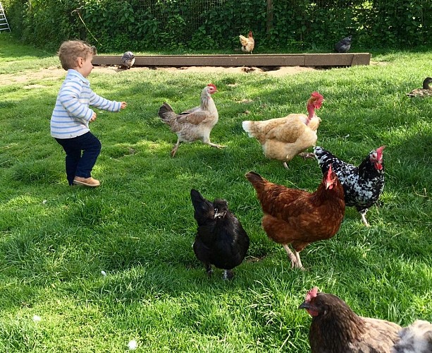 13235321_1709199576020206_2919997135102395287_o