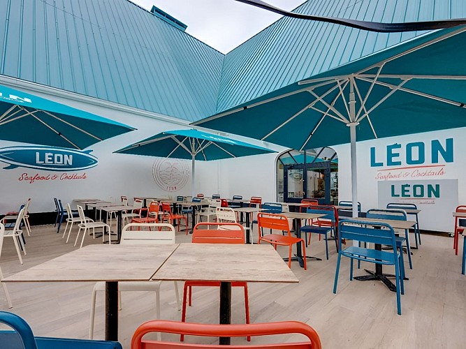léon terrasse