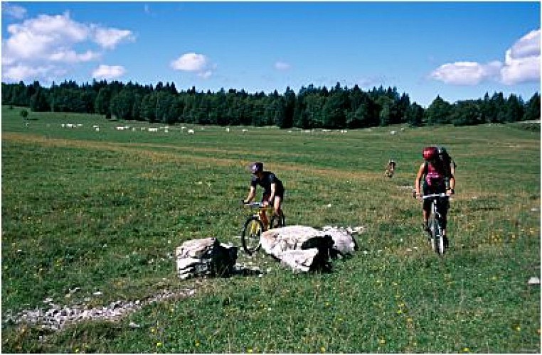 Les Plans d'Hotonnes 